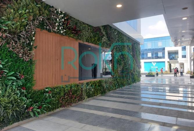 8394972 - صورة العقار 3