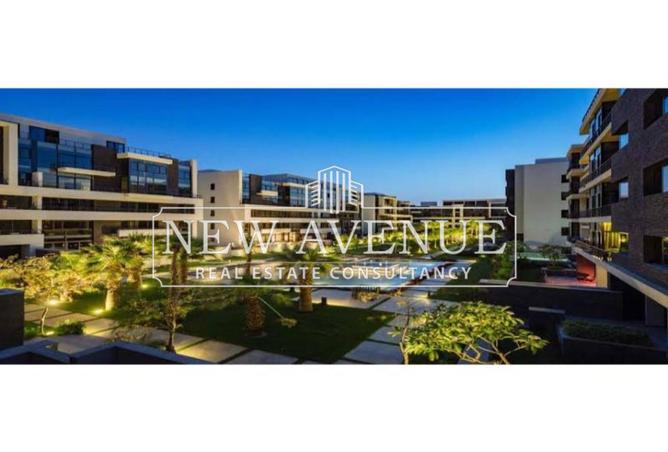 8243864 - Property Image 3