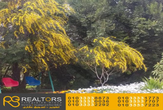 7988814 - Property Image 2
