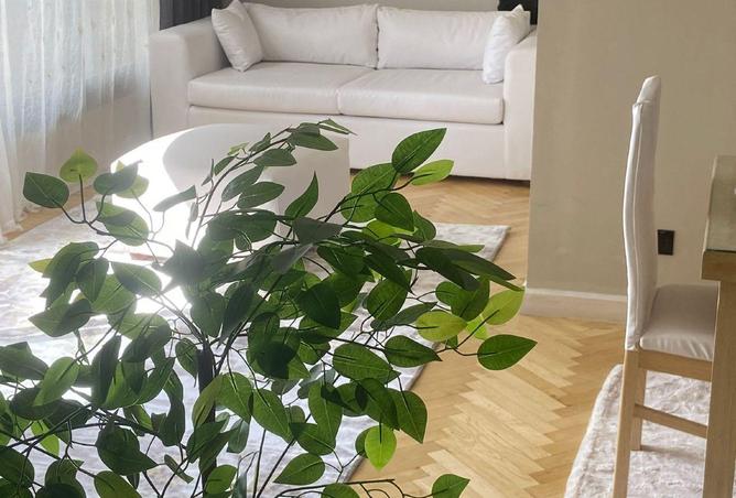 5081568 - Property Main Image