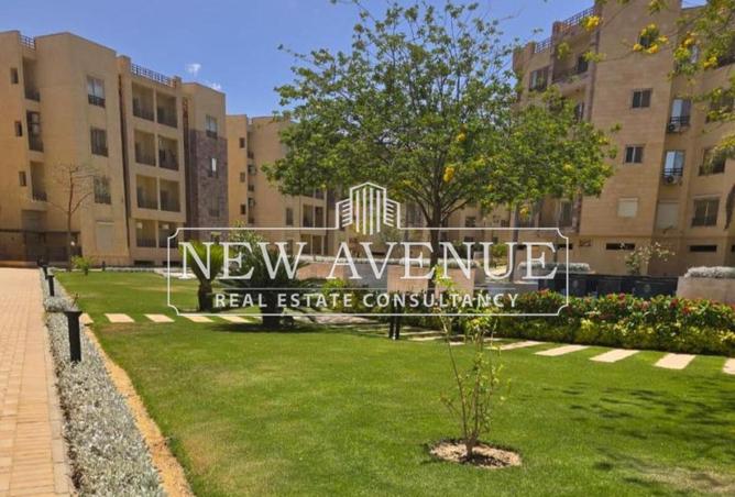 8112420 - Property Image 3