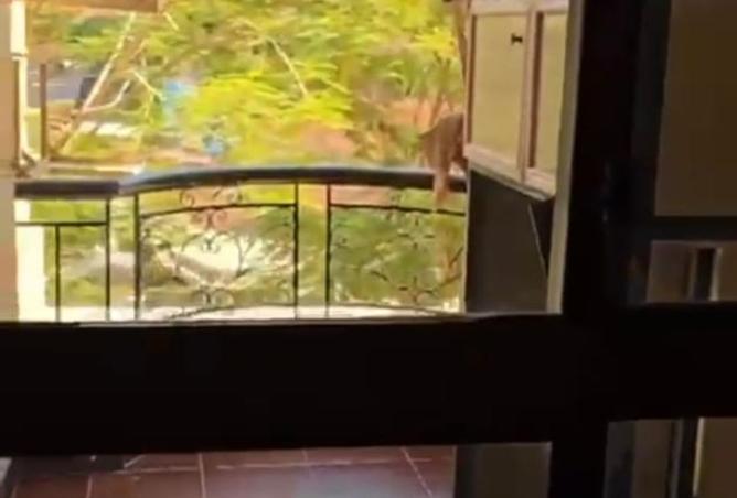 8566172 - صورة العقار 2