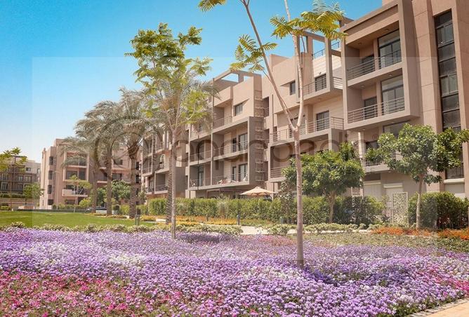 8194961 - Property Image 3