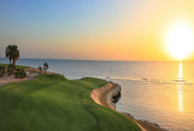 8465673 - Property Image 3