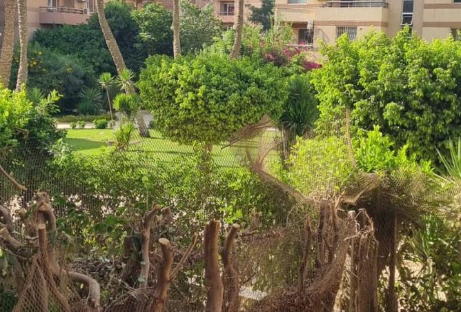 8527401 - الصورة الرئيسية للعقار