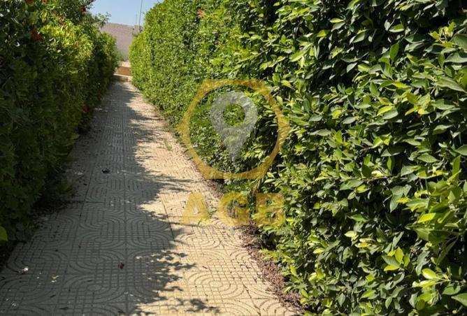 8023649 - صورة العقار 3