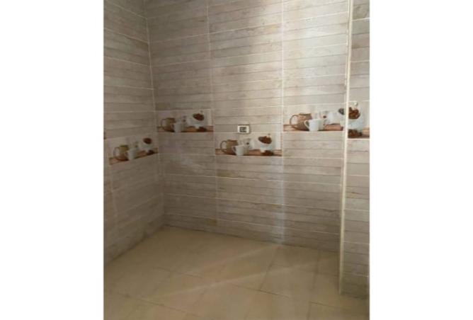 7913812 - صورة العقار 3