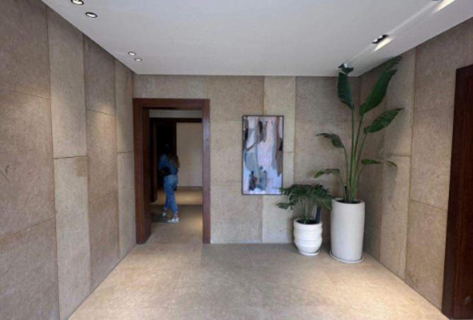 7922455 - Property Image 3