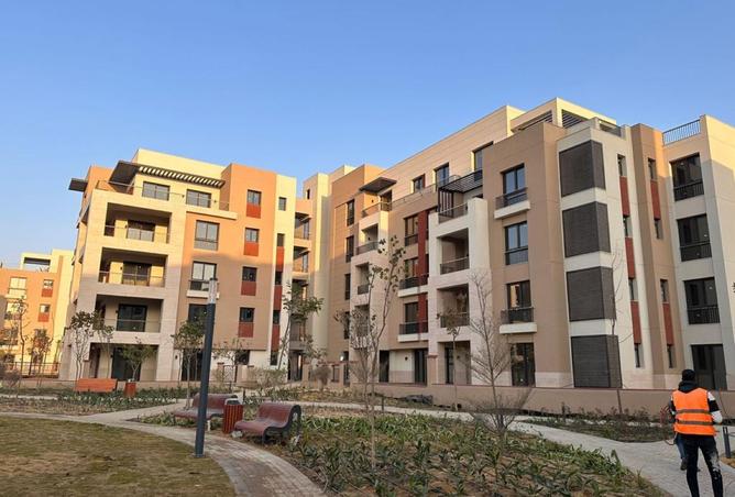 8449824 - Property Image 3