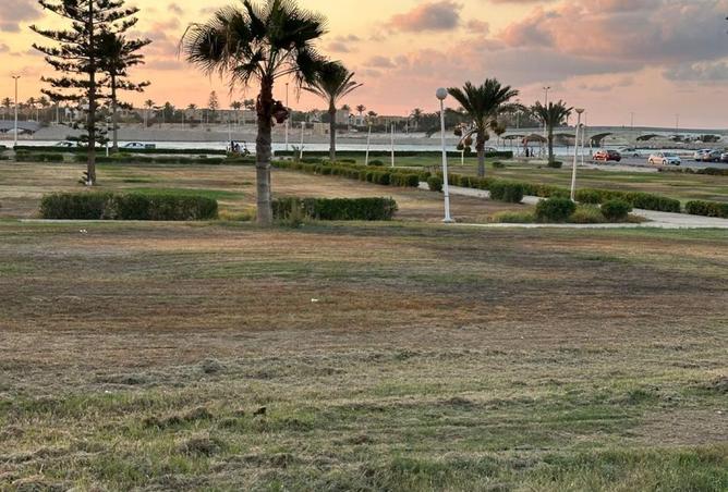 8464515 - الصورة الرئيسية للعقار