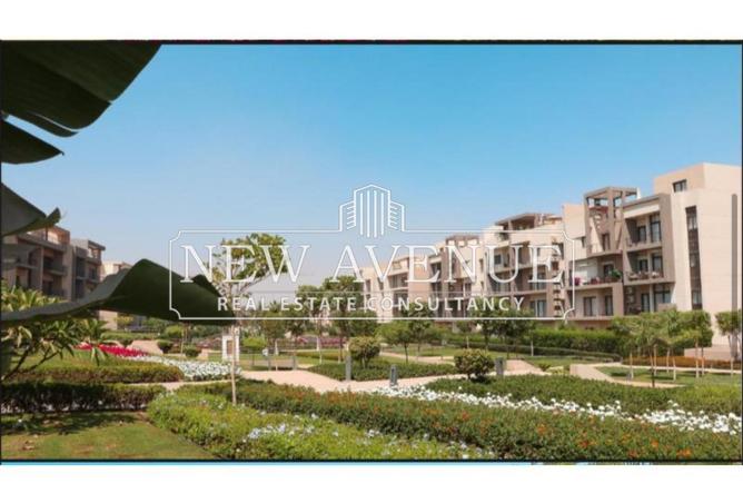 8482418 - Property Image 3