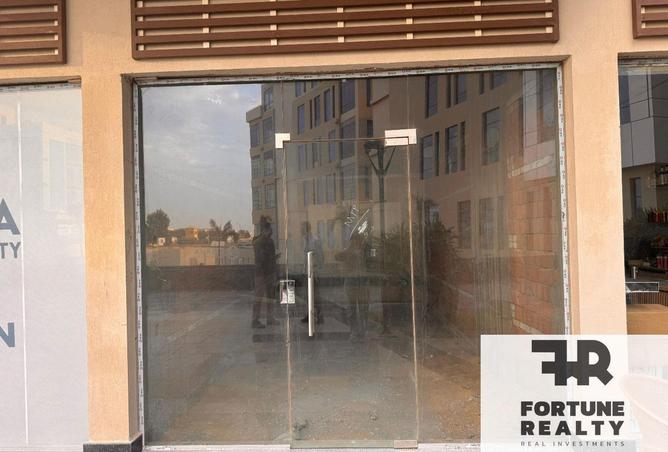 8489236 - Property Image 3