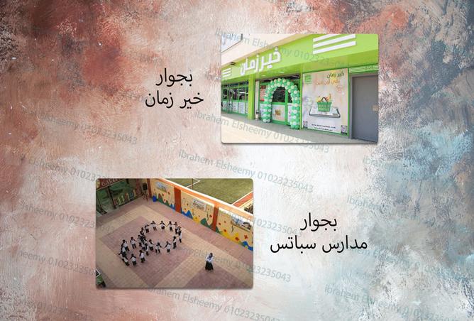 7951761 - Property Image 3