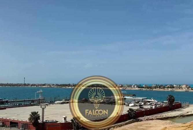 7900559 - صورة العقار 3