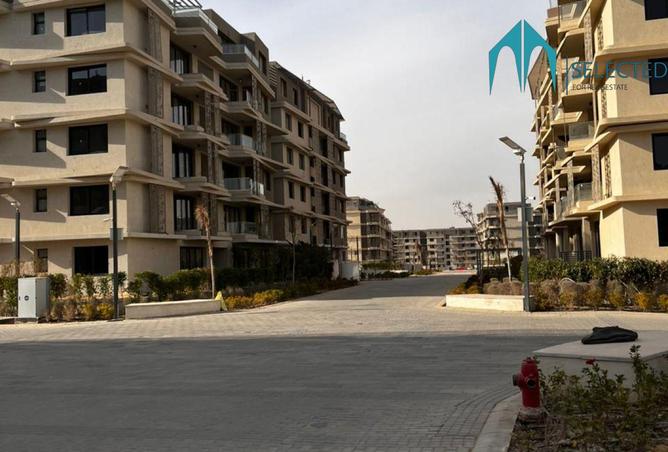 8006349 - Property Image 3
