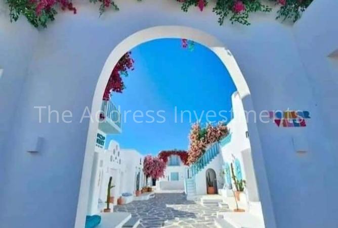 7918371 - Property Image 3
