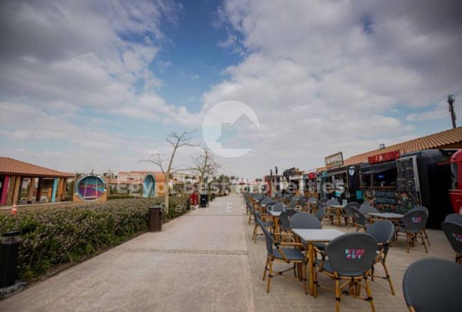 8474820 - Property Image 3