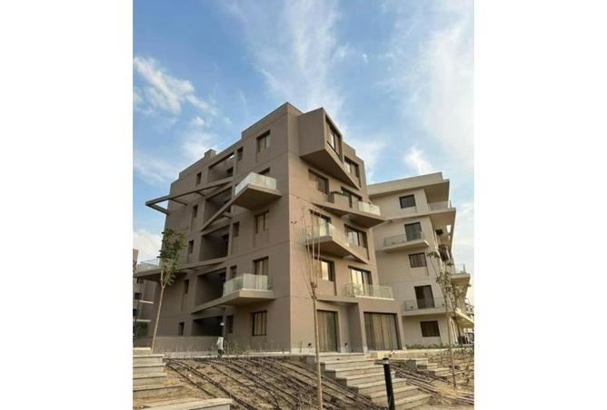 7979797 - Property Image 3