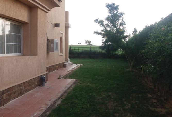 8146887 - صورة العقار 3