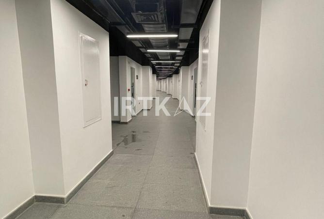 8113984 - Property Image 3