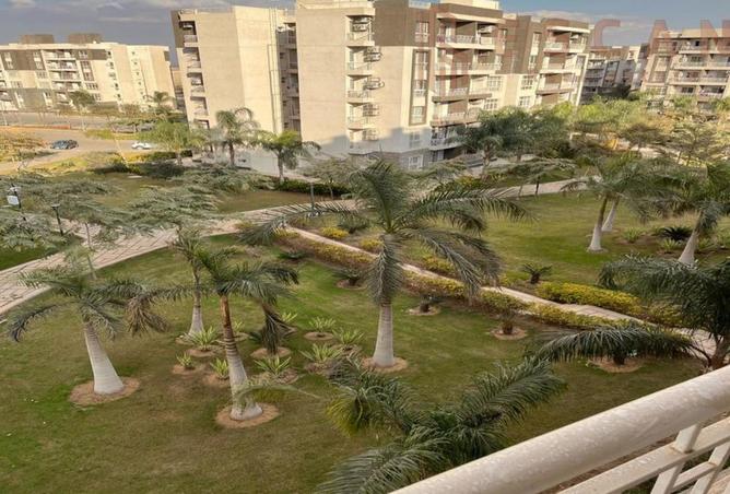 8205308 - Property Image 3