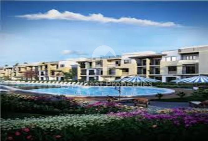 7981511 - Property Image 3
