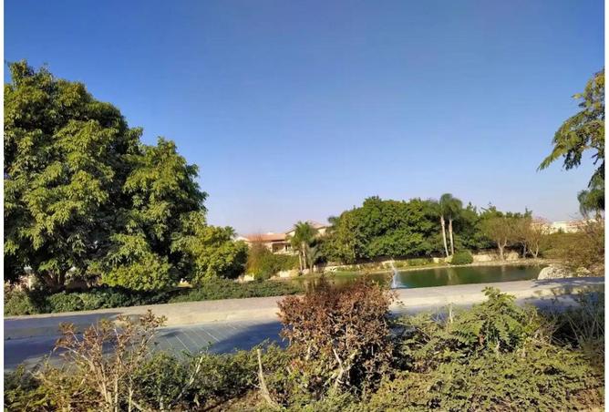 8209477 - صورة العقار 3