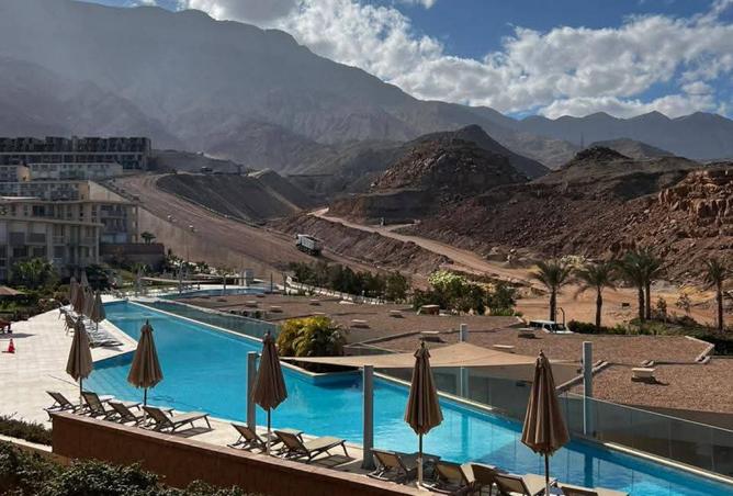 8562050 - Property Image 3