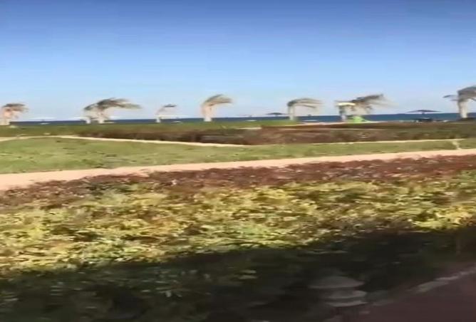 8396074 - Property Image 2