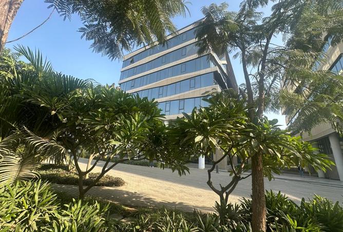 8536062 - صورة العقار 2