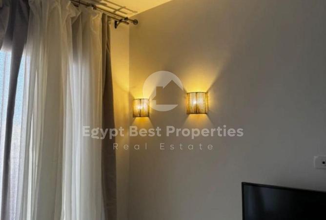 8078566 - Property Image 3