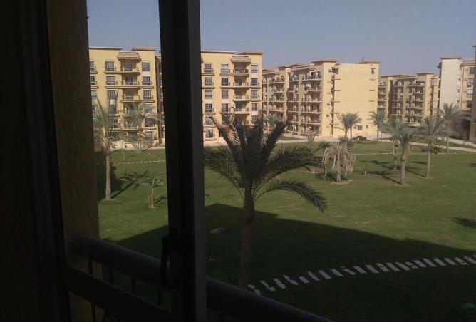 7900605 - صورة العقار 2