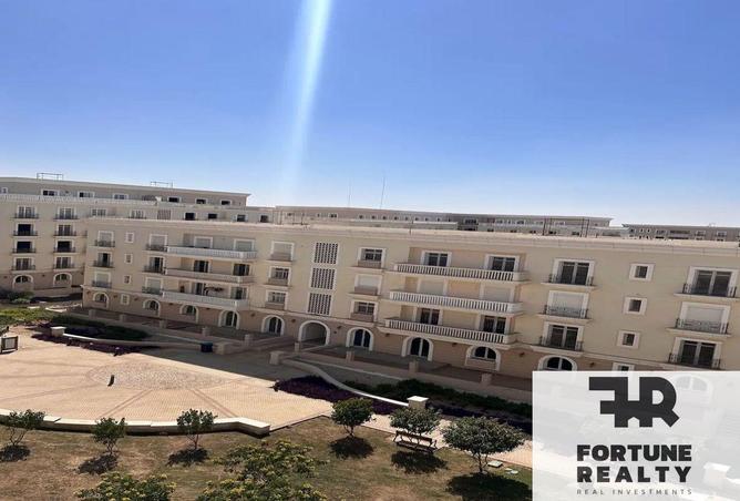 8367982 - Property Image 3