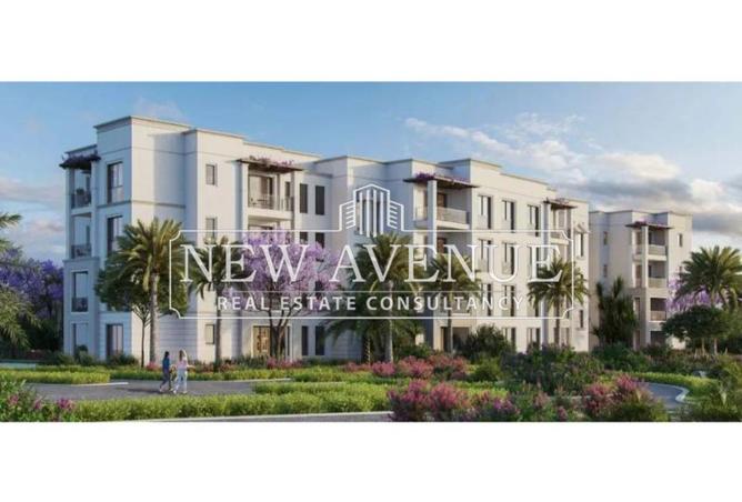 8373559 - Property Image 2