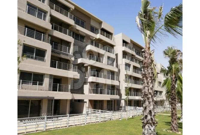 7981409 - Property Image 3