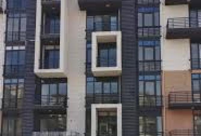 8407059 - Property Image 3