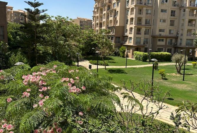 7923411 - صورة العقار 3