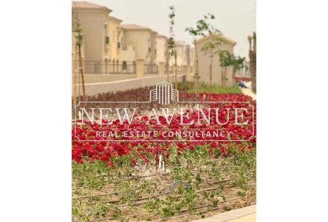 8397579 - صورة العقار 3