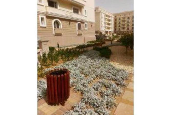 7946874 - Property Image 3