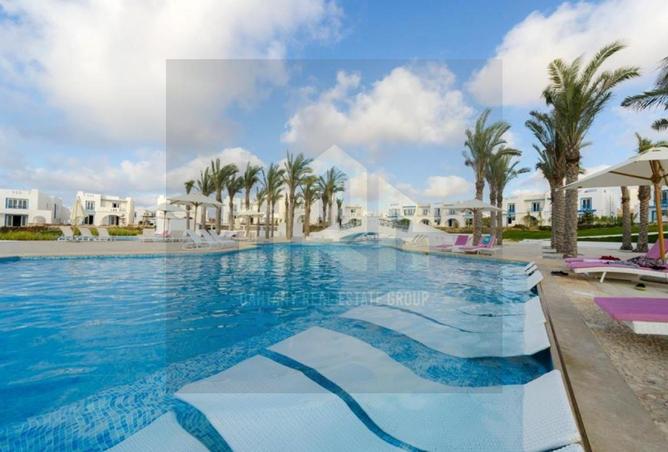 7917616 - صورة العقار 2