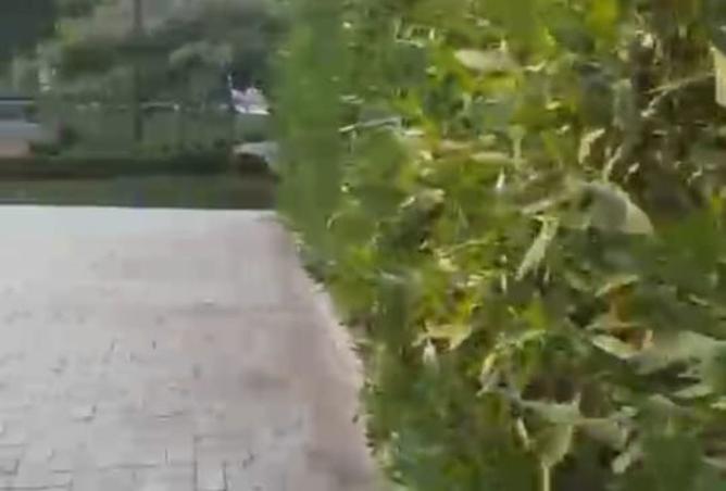 8466589 - صورة العقار 2