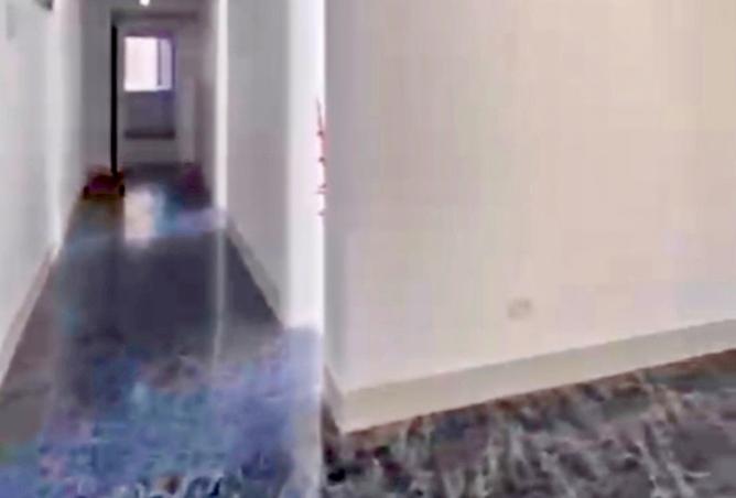 8544127 - صورة العقار 3