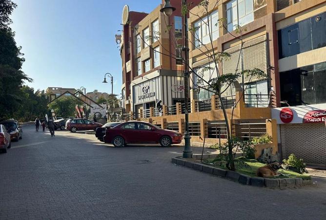 8552560 - صورة العقار 3