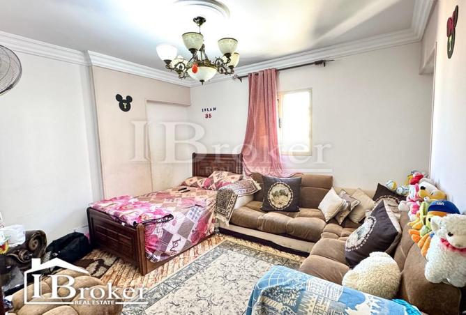 8296742 - Property Image 3