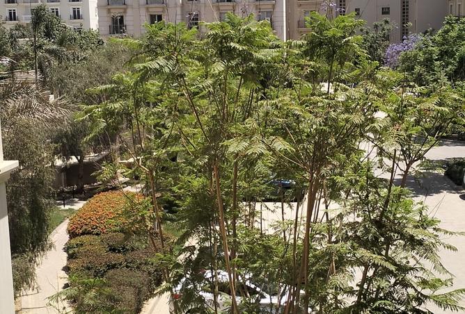 8353248 - Property Image 3