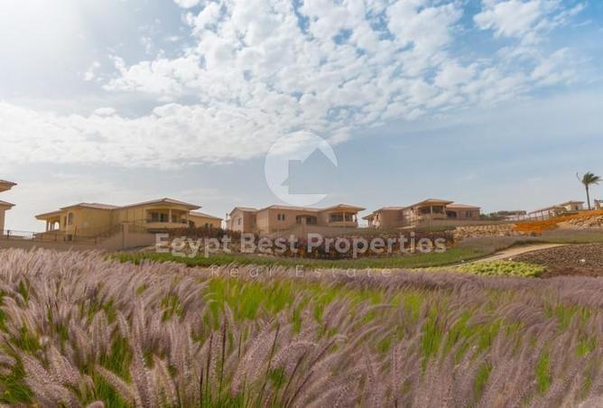 7977781 - Property Main Image