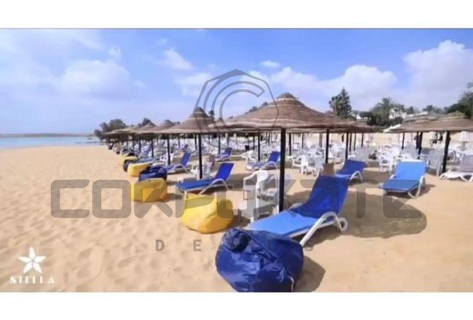 7888470 - صورة العقار 2