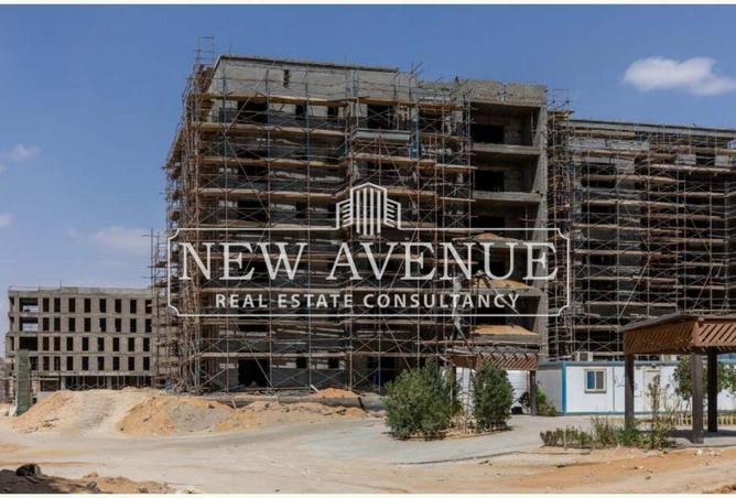 8067405 - Property Image 3