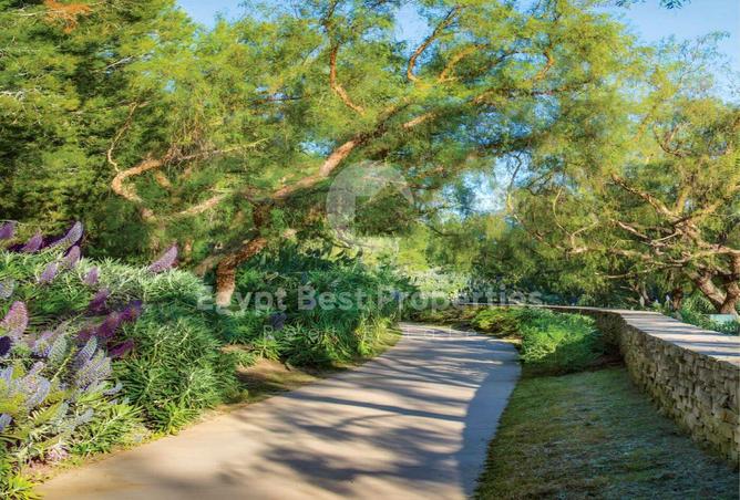 8211010 - Property Image 2