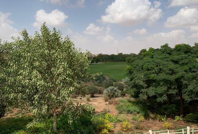 8195300 - Property Image 2